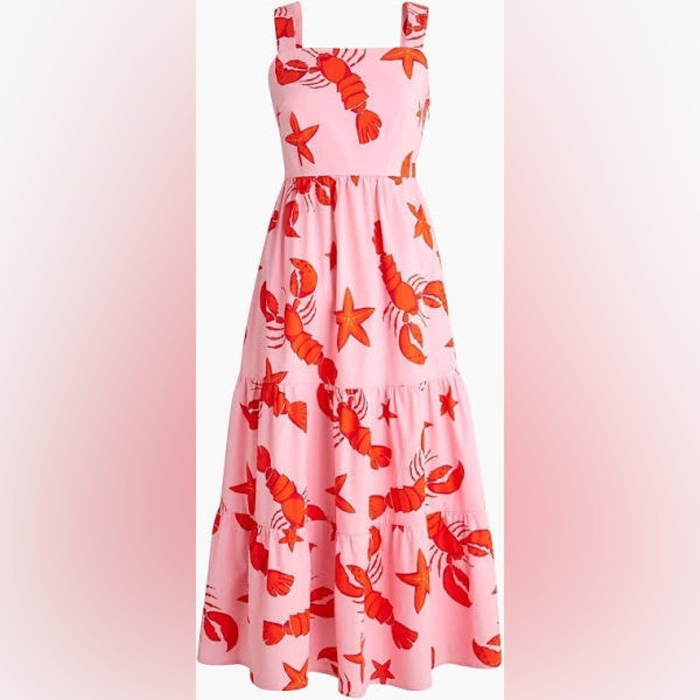 Jcrew factory dress NWT SIZE 2